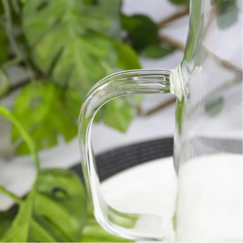 Jarra de Vidro Borossilicato e Tampa Bambu 1L | BELLAEFINNA